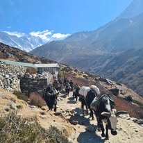 469651021_122131452890385690_6883332074181685631_n