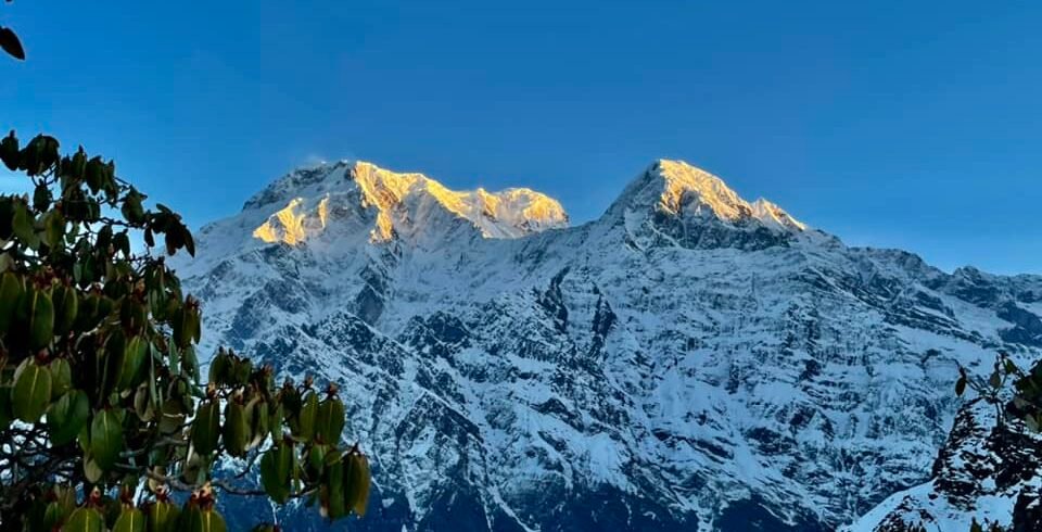 Annapuran South 7219m & Himchuli 6446 m