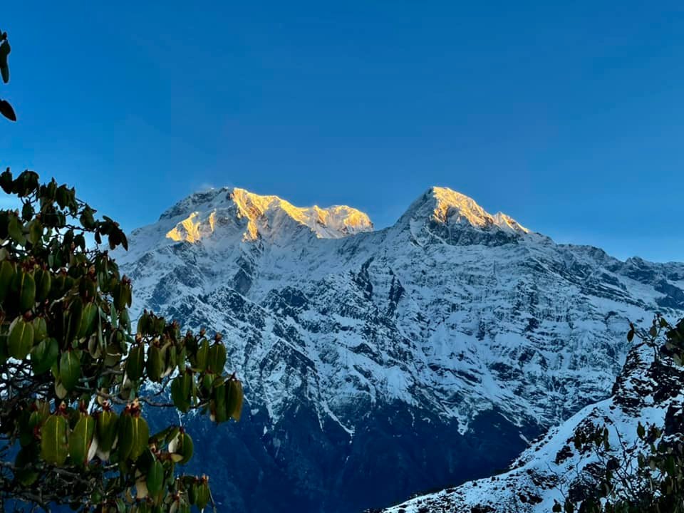 Annapuran South 7219m & Himchuli 6446 m